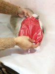 画像2: ねこメット (2)