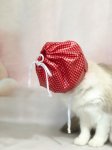 画像4: ねこメット (4)